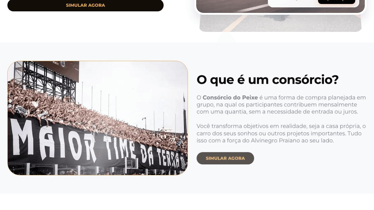 Consórcio do Peixe tela desktop 3